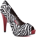 Regal (Zebra)