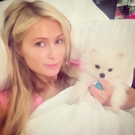 paris hilton